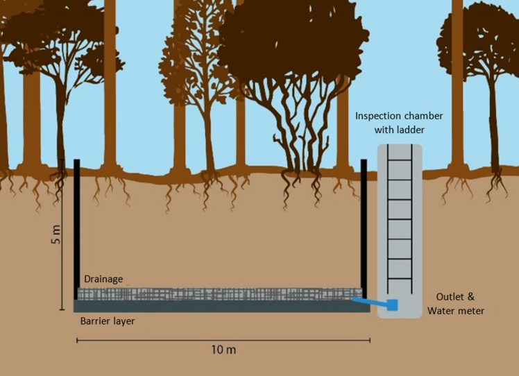 Schematic representation of a large lysimeter with trees on the Britz intensive monitoring area Schematic representation of a large lysimeter with trees on the Britz intensive monitoring area