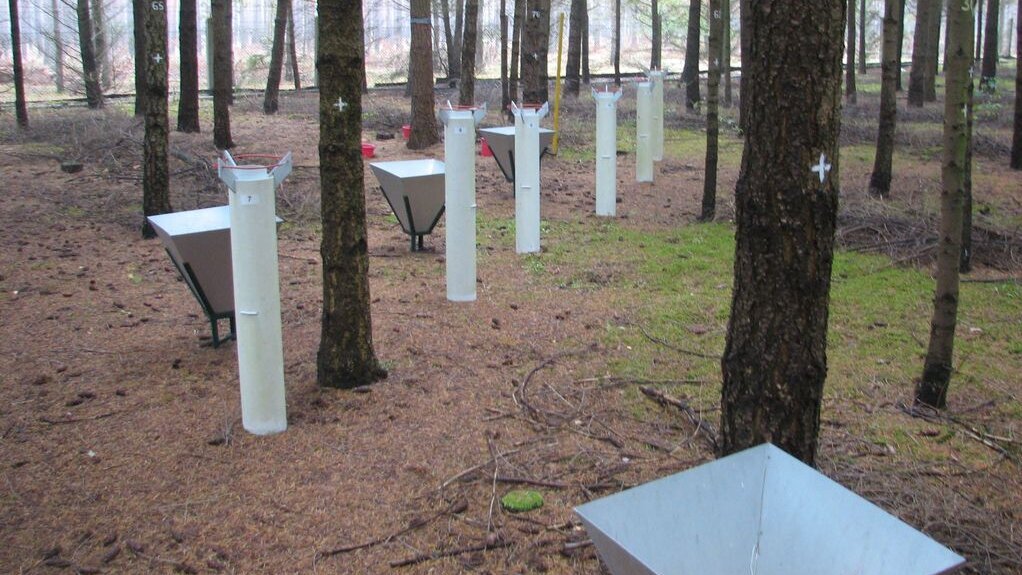 Measuring system for litterfall and precipitation at the Britz intensive monitoring area Measuring system for litterfall and precipitation at the Britz intensive monitoring area