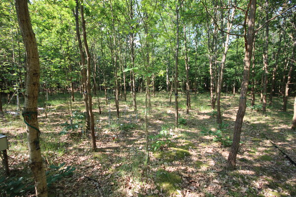 Messfeld zur Messung des Bodenswaasers auf der Intensivmonitoringfläche Britz.