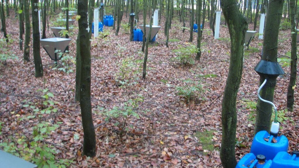 Measuring equipment for litterfall, precipitation and stemflow at the Britz intensive monitoring area Measuring equipment for litterfall, precipitation and stemflow at the Britz intensive monitoring area