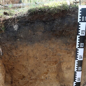 Bild eines Bodenprofils mit Messlatte. Bild eines Bodenprofils mit Messlatte.