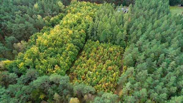 Drone image of the Britz intensive monitoring site Drone image of the Britz intensive monitoring site..